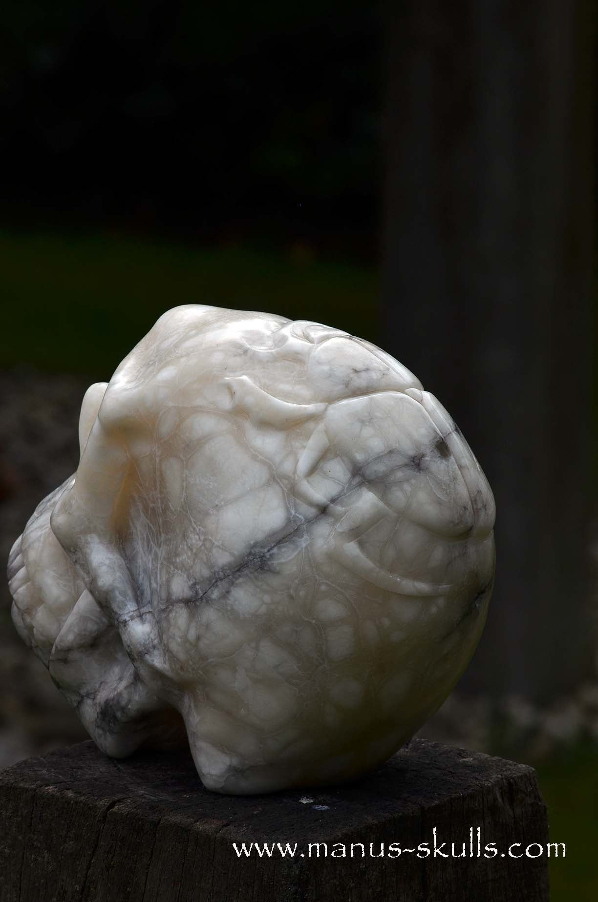 Alabaster Skull with carved Scarab Beetle ....