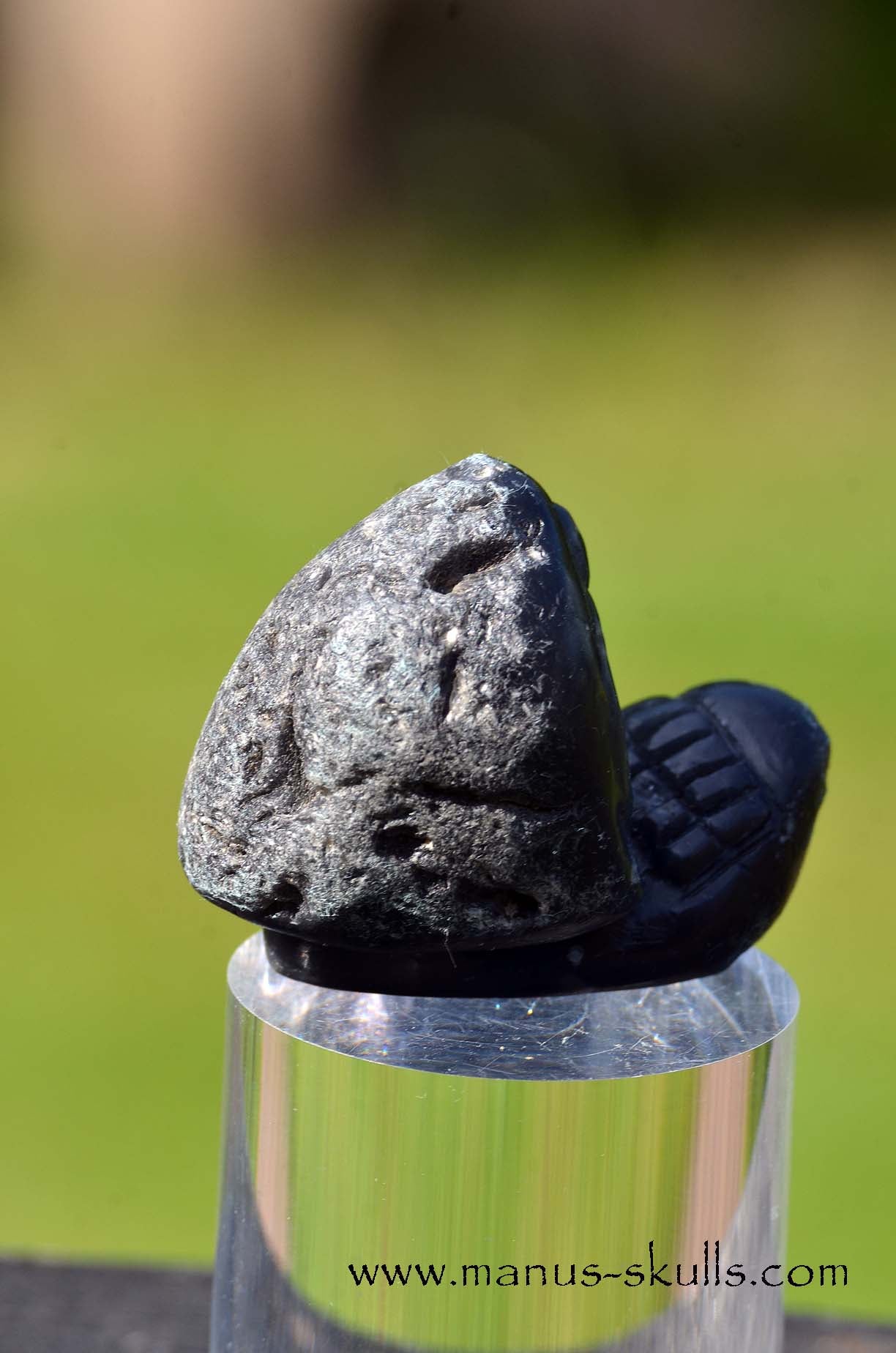 Agni Manitite Evolian #01