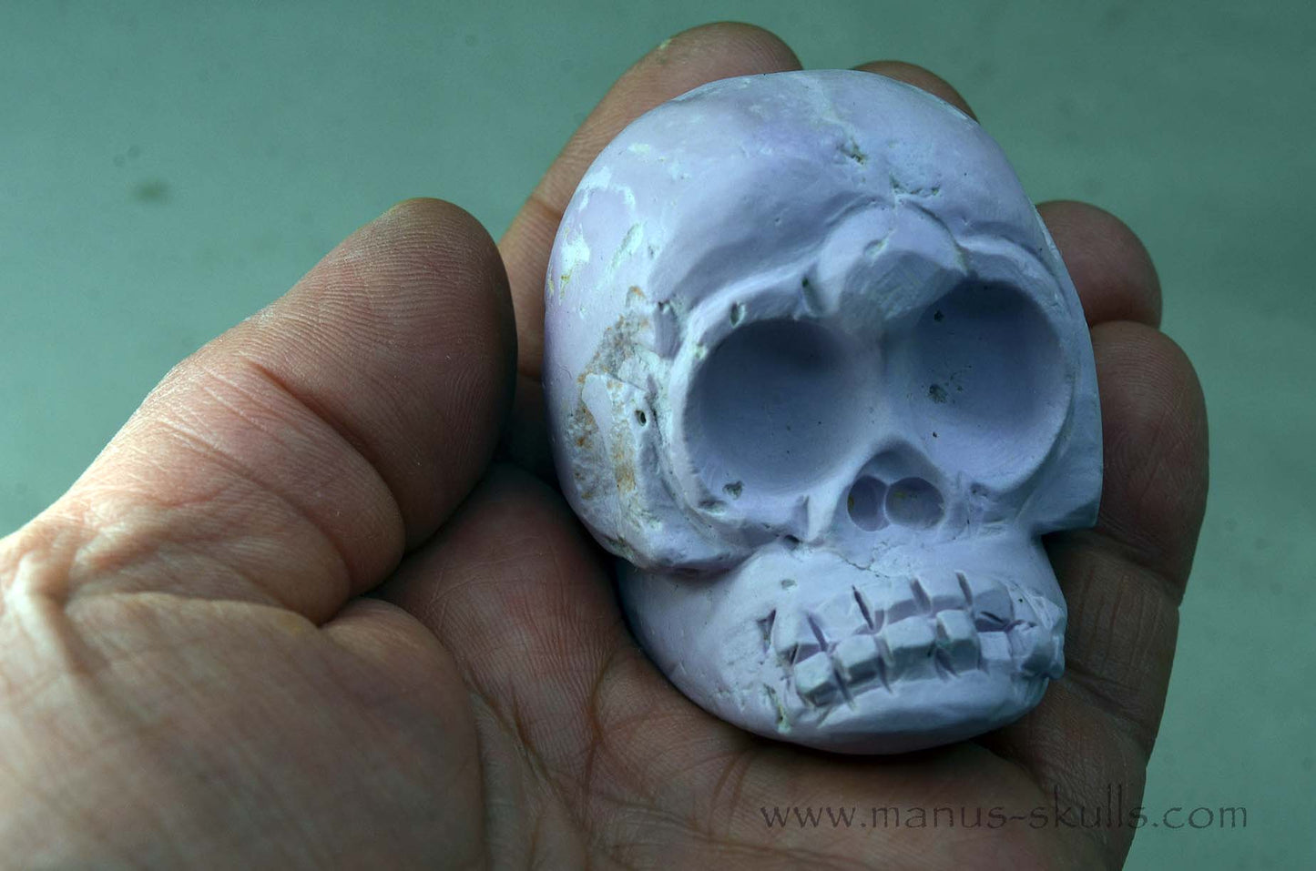 Phosphosiderite Evolian Skull #11