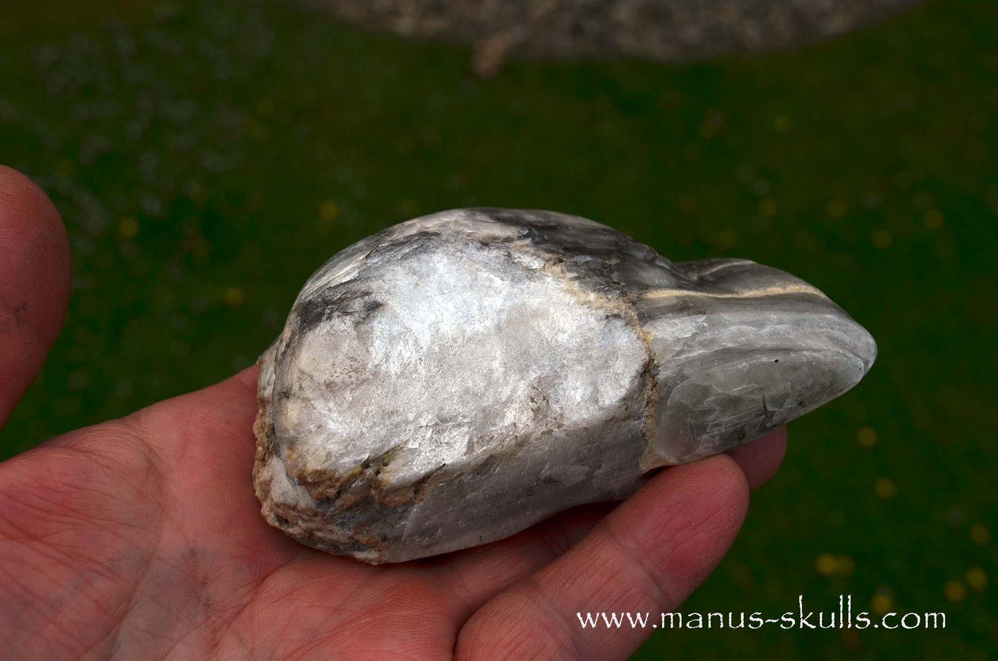 Selenite Marienglas Dragon white