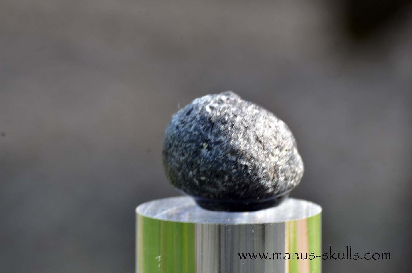 Agni Manitite Evolian #11