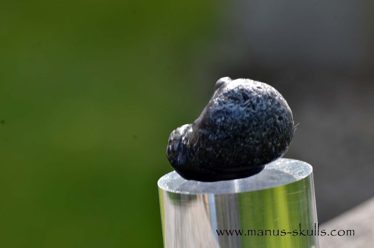 Agni Manitite Evolian #11