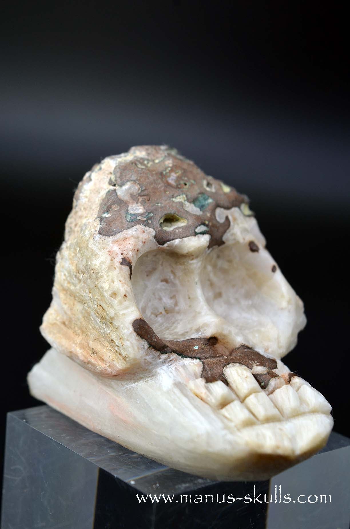 Manus skulls unique Crystal Carvings handmade skulls dragons pendants preseli bluestone tribals spiritual meaning wand Unicorn .. scolecite evolian 2025