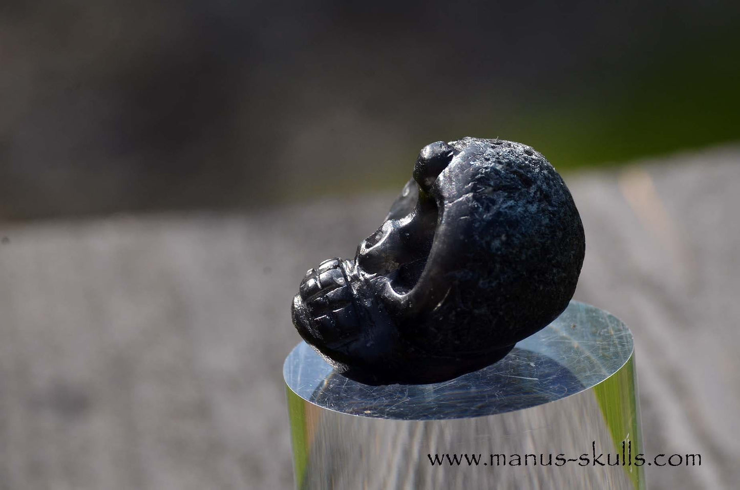 Agni Manitite Evolian #11