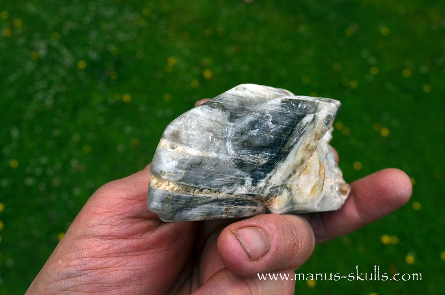 Selenite Marienglas Dragon white