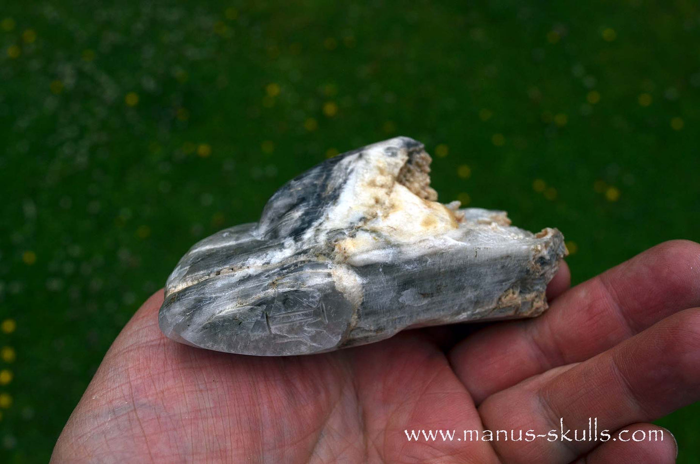 Selenite Marienglas Dragon white