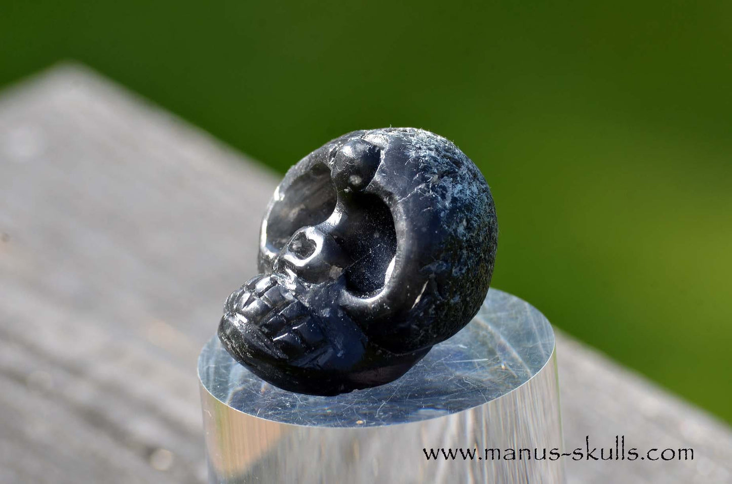 Agni Manitite Evolian #11