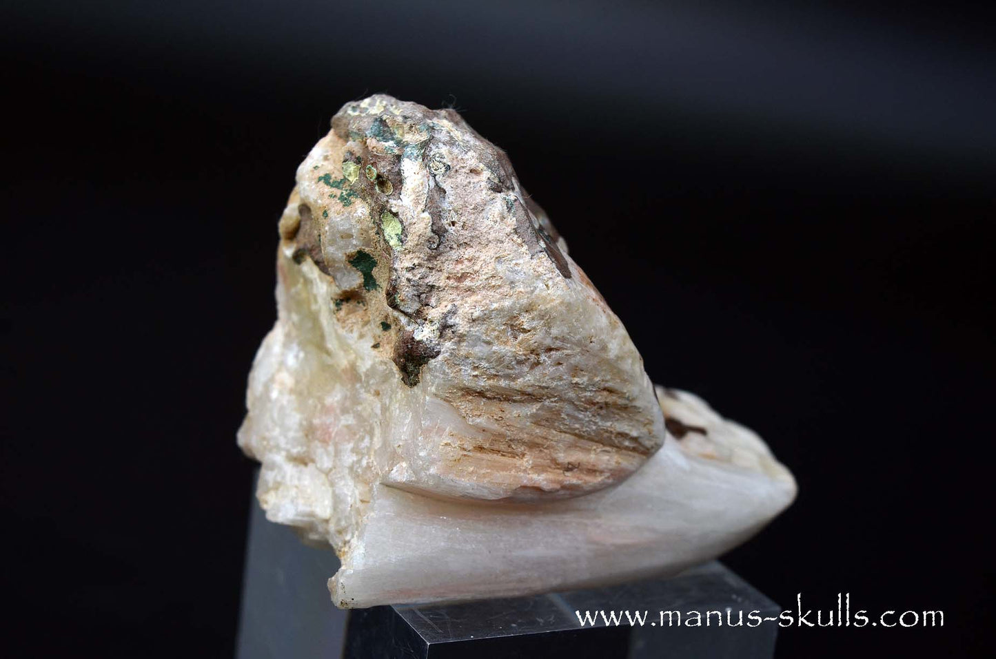 Scolecite Evolian Skull #11