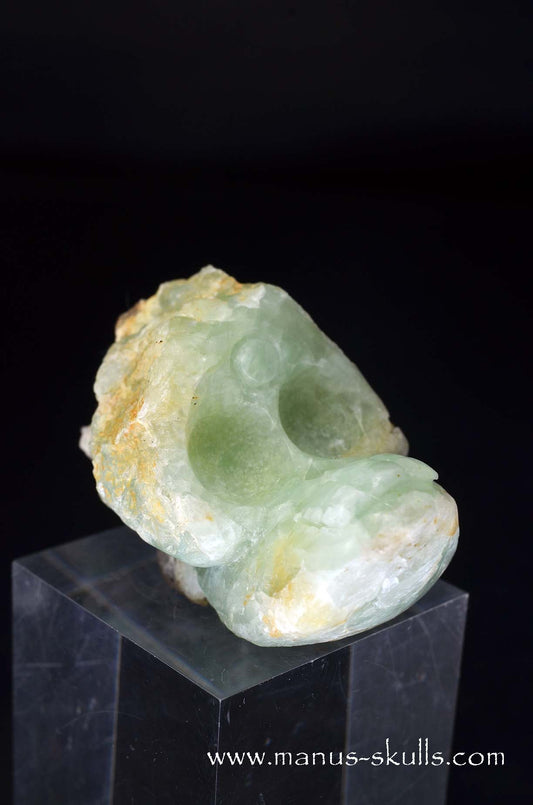 Manus skulls unique Crystal Carvings handmade skulls dragons pendants preseli bluestone tribals spiritual meaning wand Unicorn .. prehnite Evolian 2025