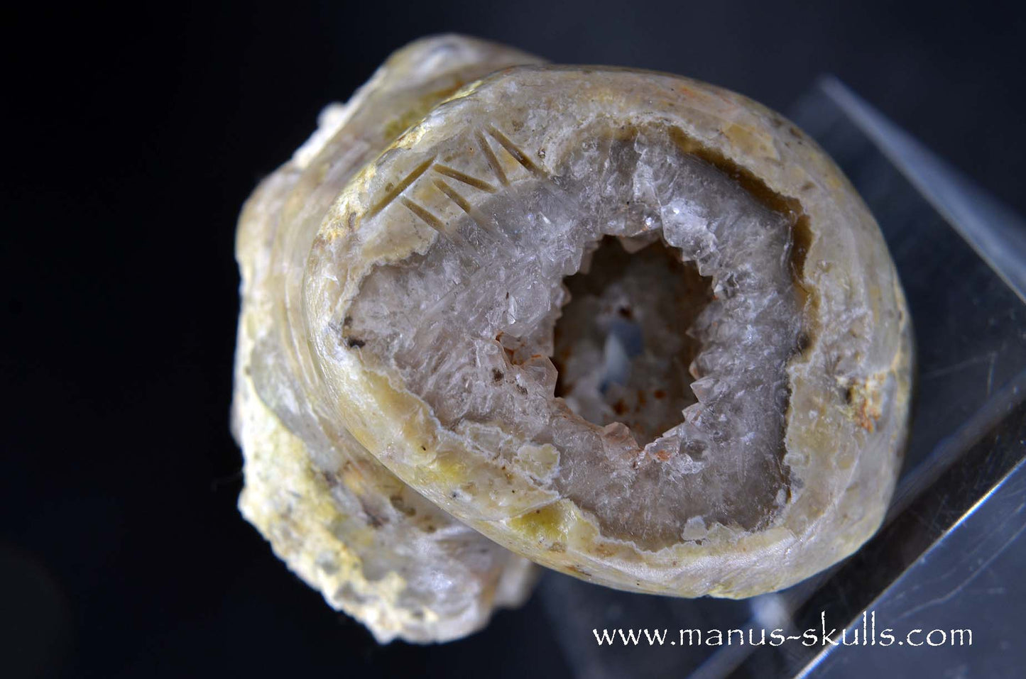 TNT-bed Thunderegg Evolian #10
