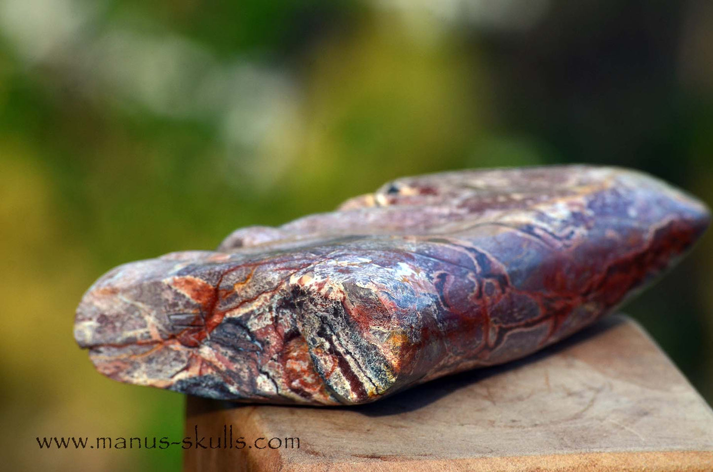 Hairless Batik Jasper Tribal Skull #20