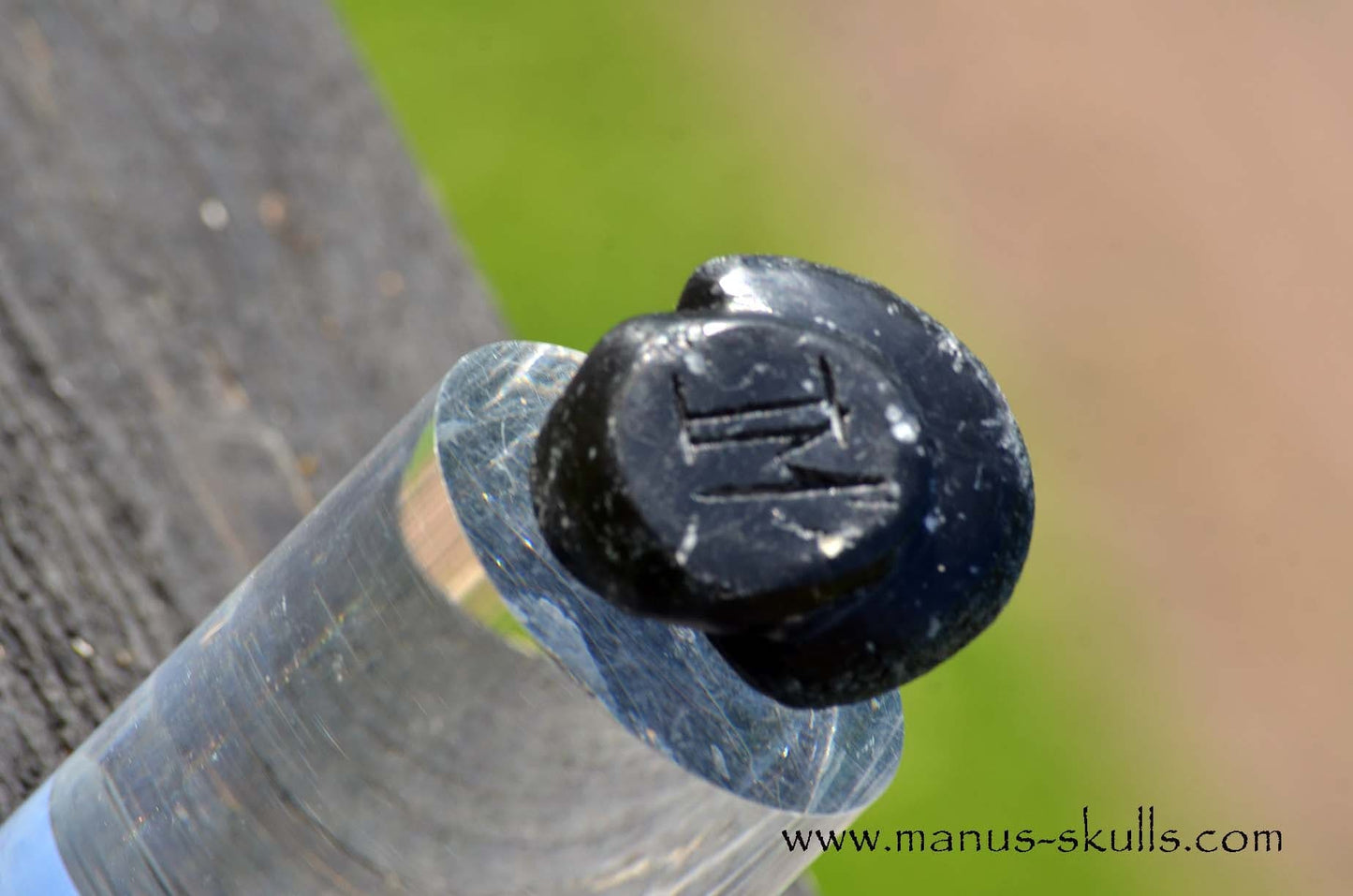 Agni Manitite Evolian #11