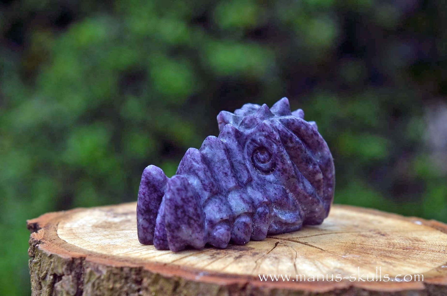 Kammererite baby Dragon