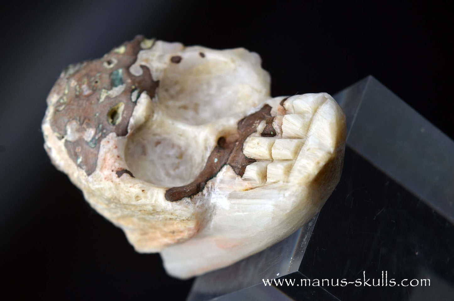Scolecite Evolian Skull #11