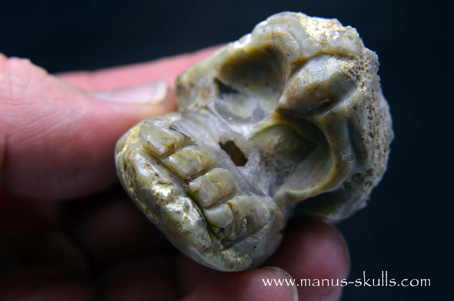 TNT-bed Thunderegg Evolian #10