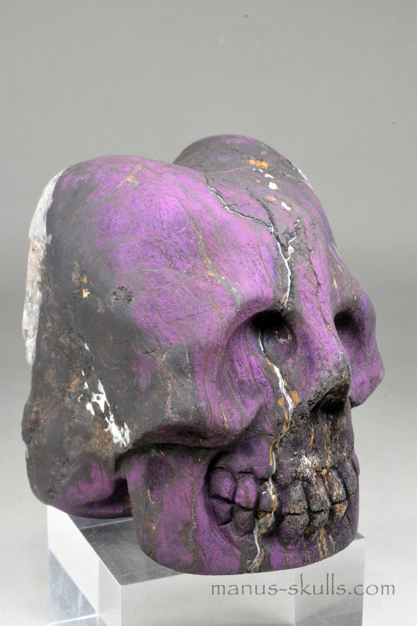 Purpurite Manus SKULL