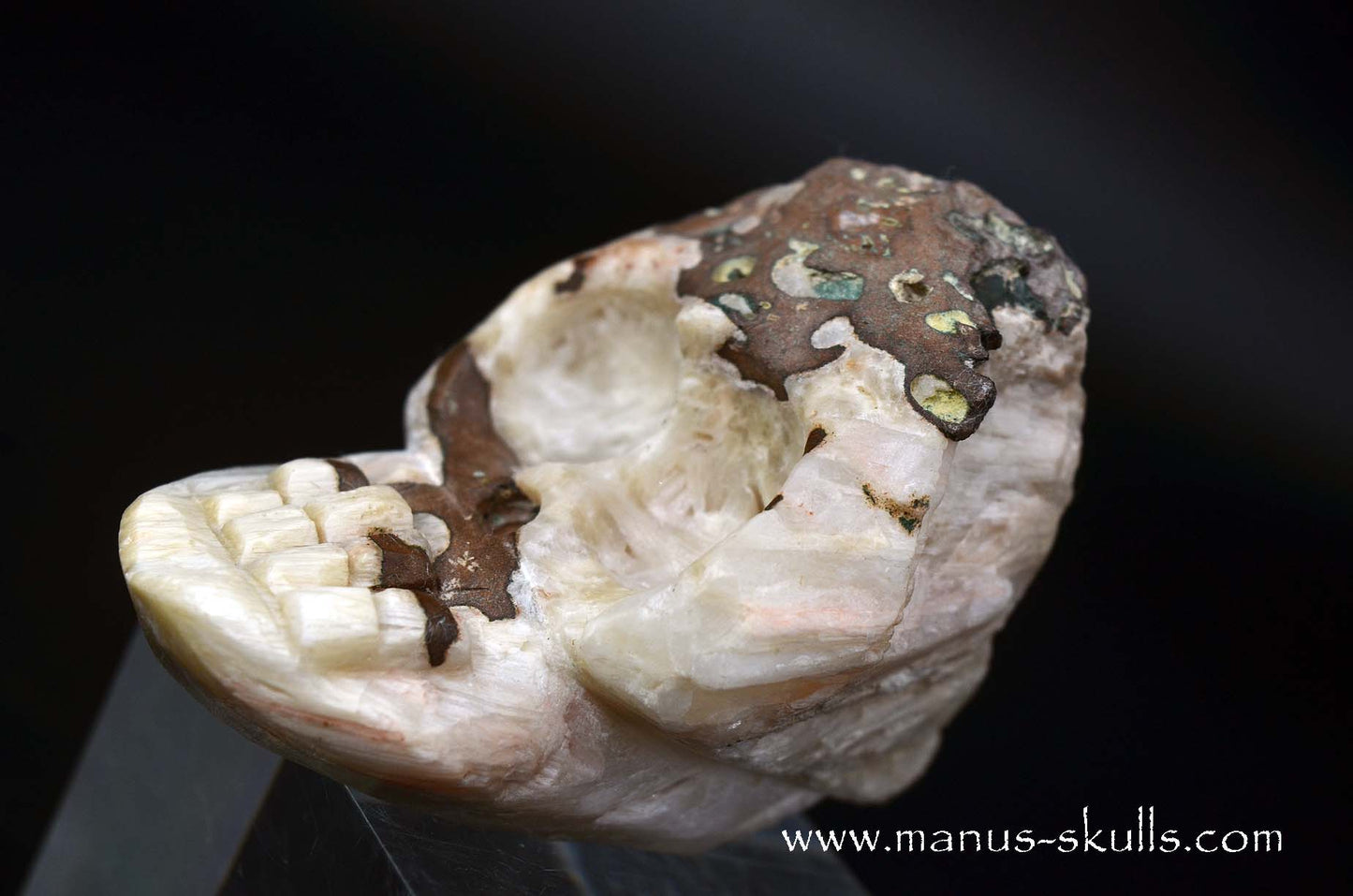 Scolecite Evolian Skull #11