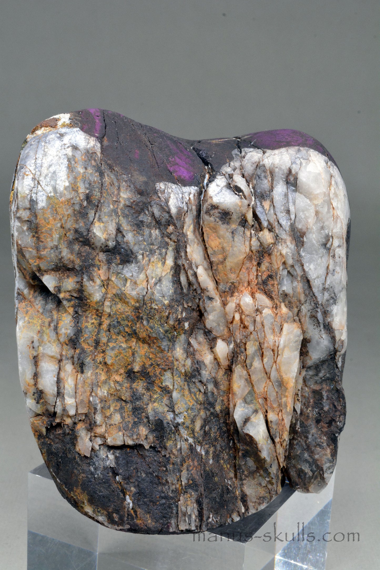 Large Purpurite Skull