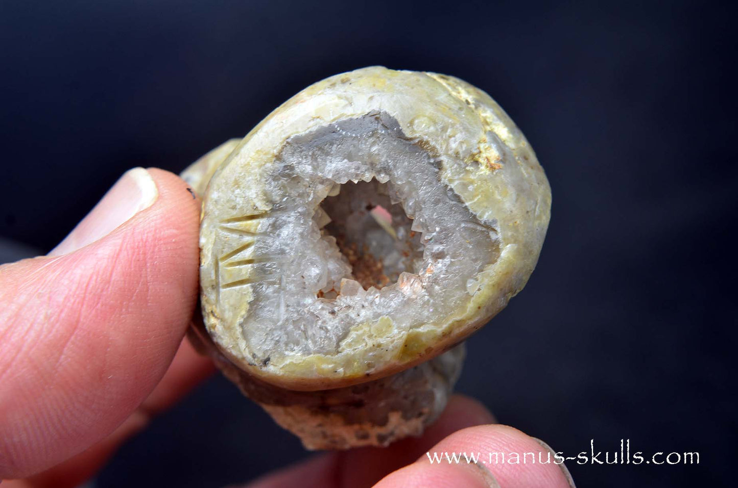 TNT-bed Thunderegg Evolian #10