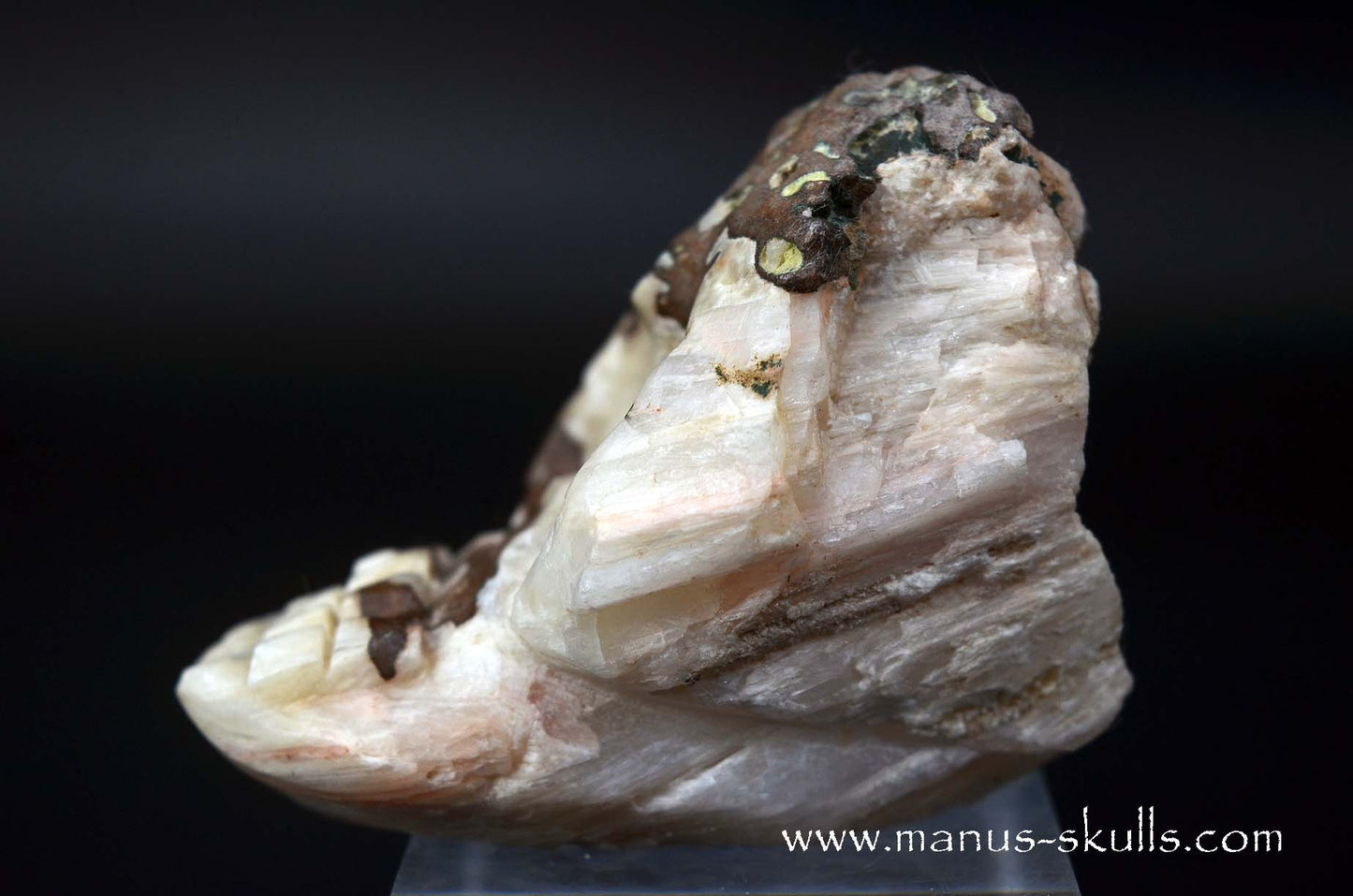 Scolecite Evolian Skull #11