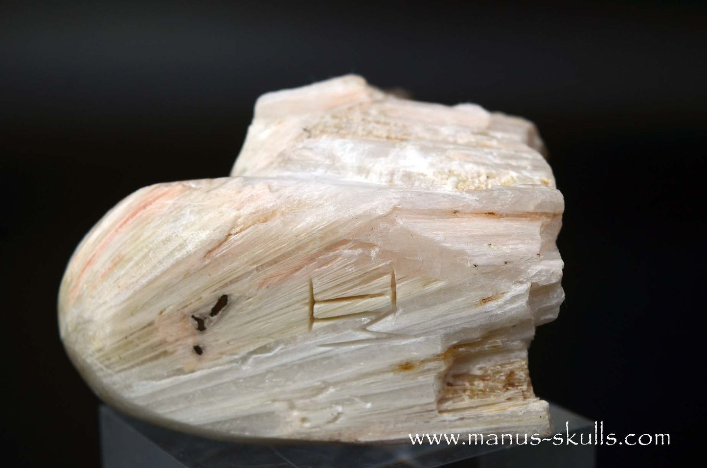 Scolecite Evolian Skull #11
