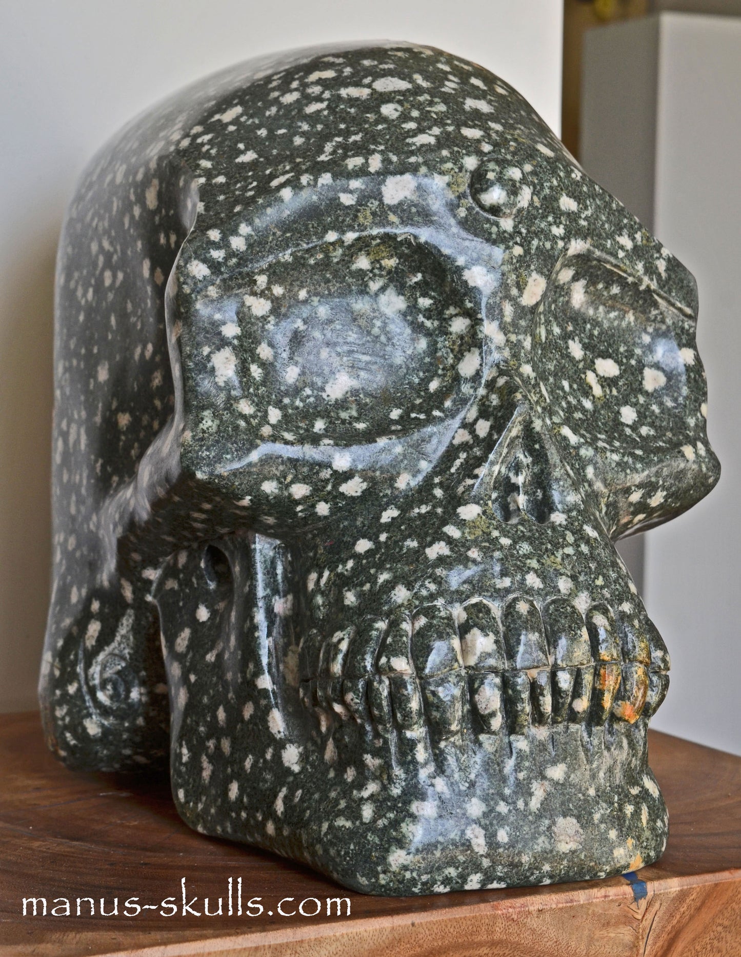 The Largest PRESELI BLUESTONE Skull in the world ...