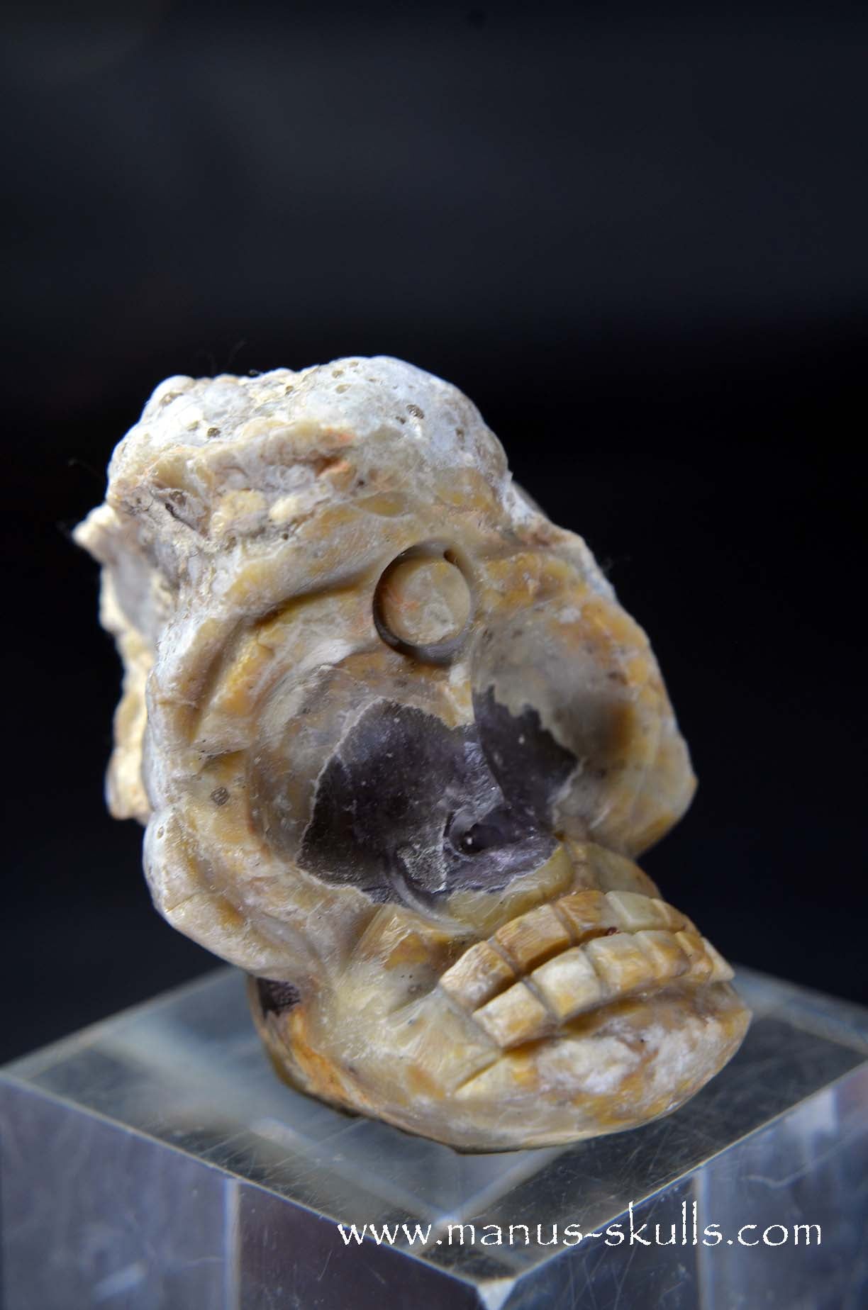 Manus skulls unique Crystal Carvings handmade skulls dragons pendants preseli bluestone tribals spiritual meaning wand Unicorn .. TNT bed   Lithophyse   Thunderegg