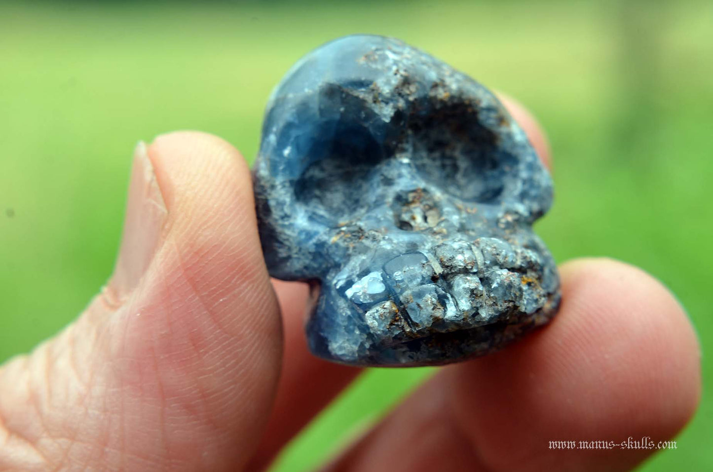 Blue Sapphire Evolian #09