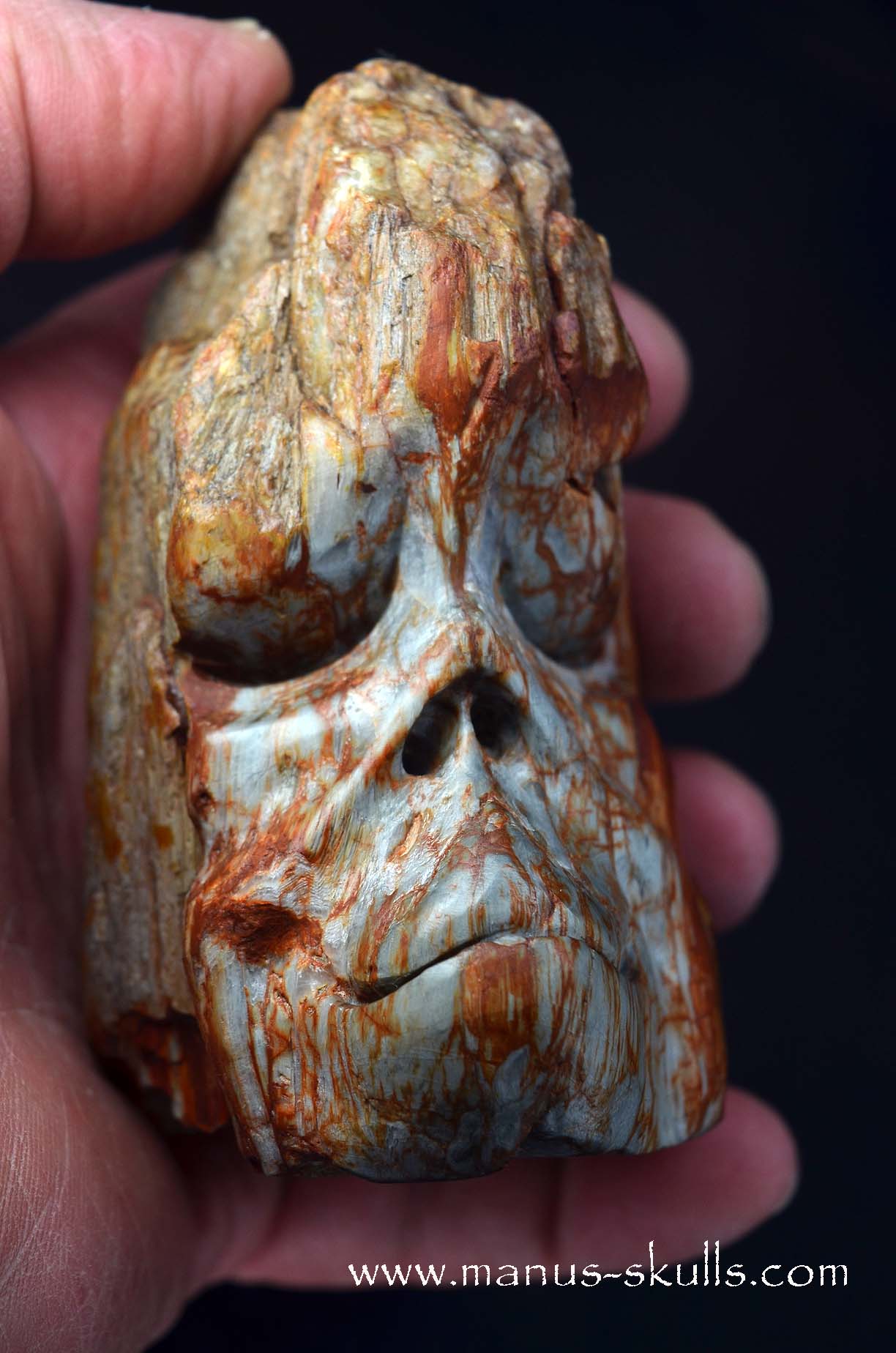 Eagle Eye Quartz Character Skull face
