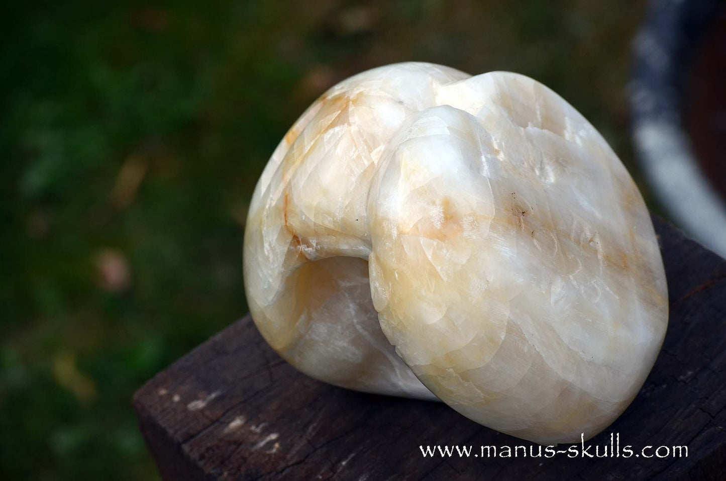 White Calcite Evolian Skull #01