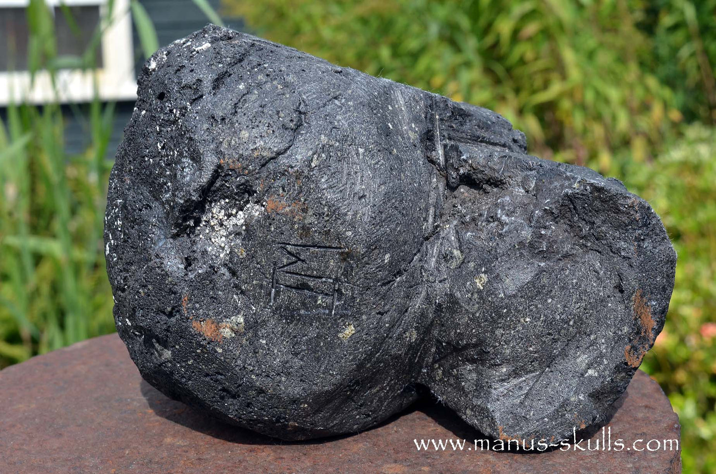 Large and Heavy Lava Skull
