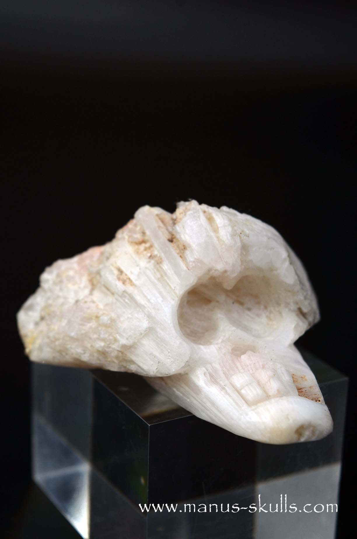 Scolecite Evolian Skull #01