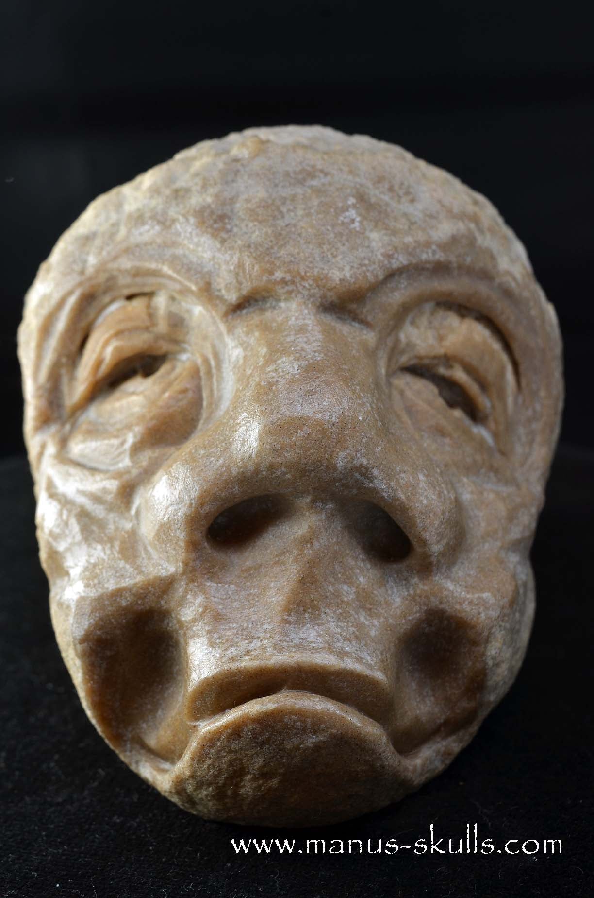 Manus skulls unique Crystal Carvings handmade skulls dragons pendants preseli bluestone tribals spiritual meaning wand Unicorn ..  oncolite  stromatolite