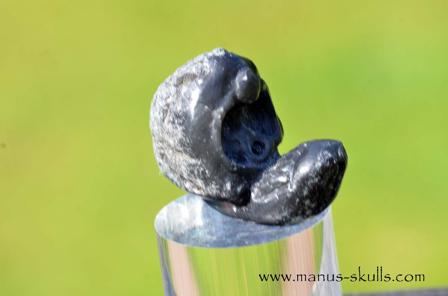 Agni Manitite Evolian #01