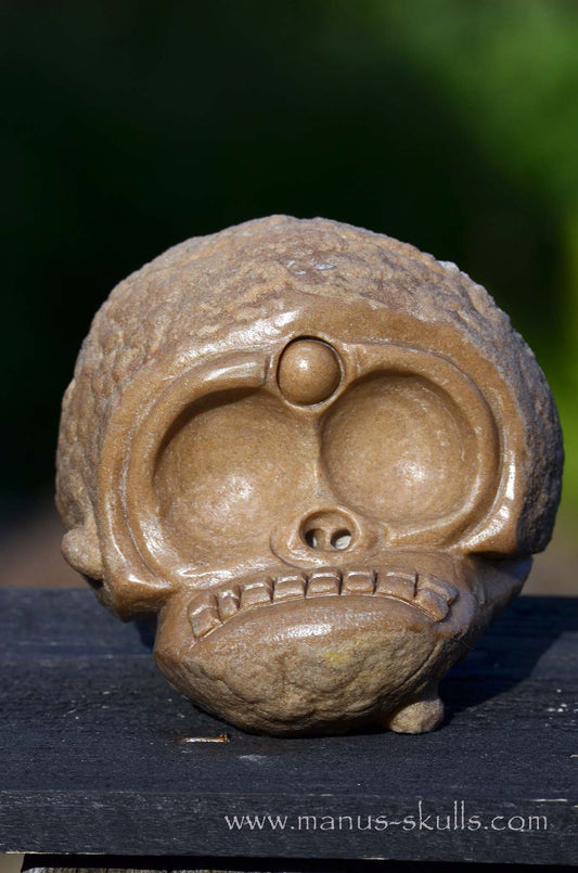 Manus skulls unique Crystal Carvings handmade skulls dragons pendants preseli bluestone tribals spiritual meaning wand Unicorn .. Oncolite stromatolite Evolian 2025