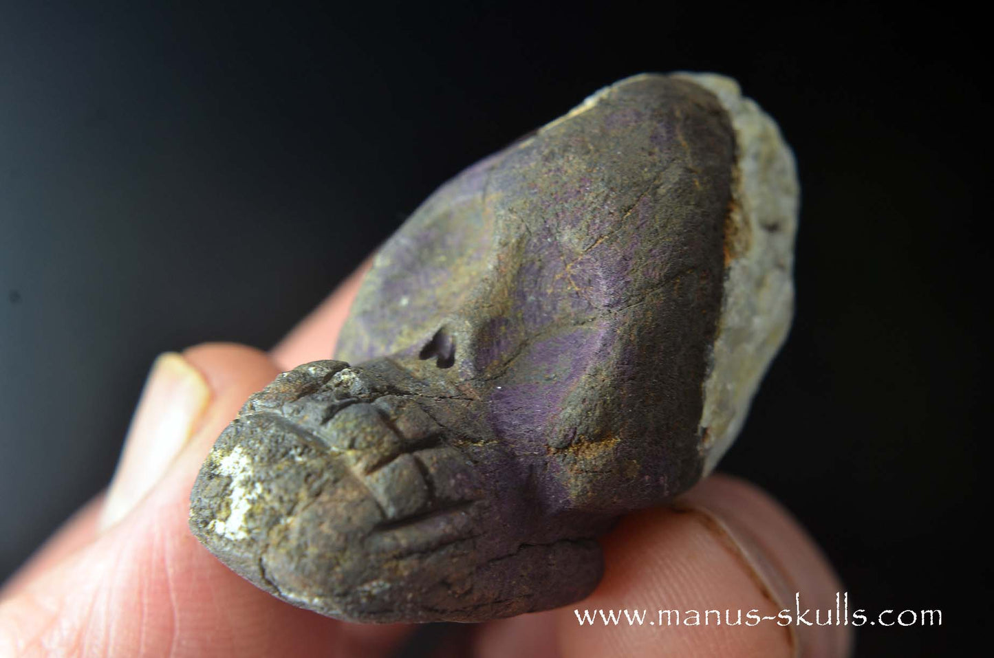 Purpurite Evolian #08