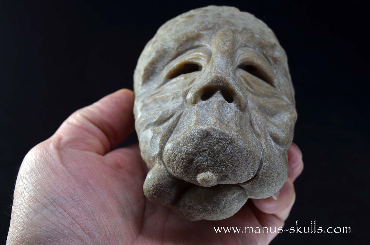 Stromatolite ~ Oncolite Character Skull