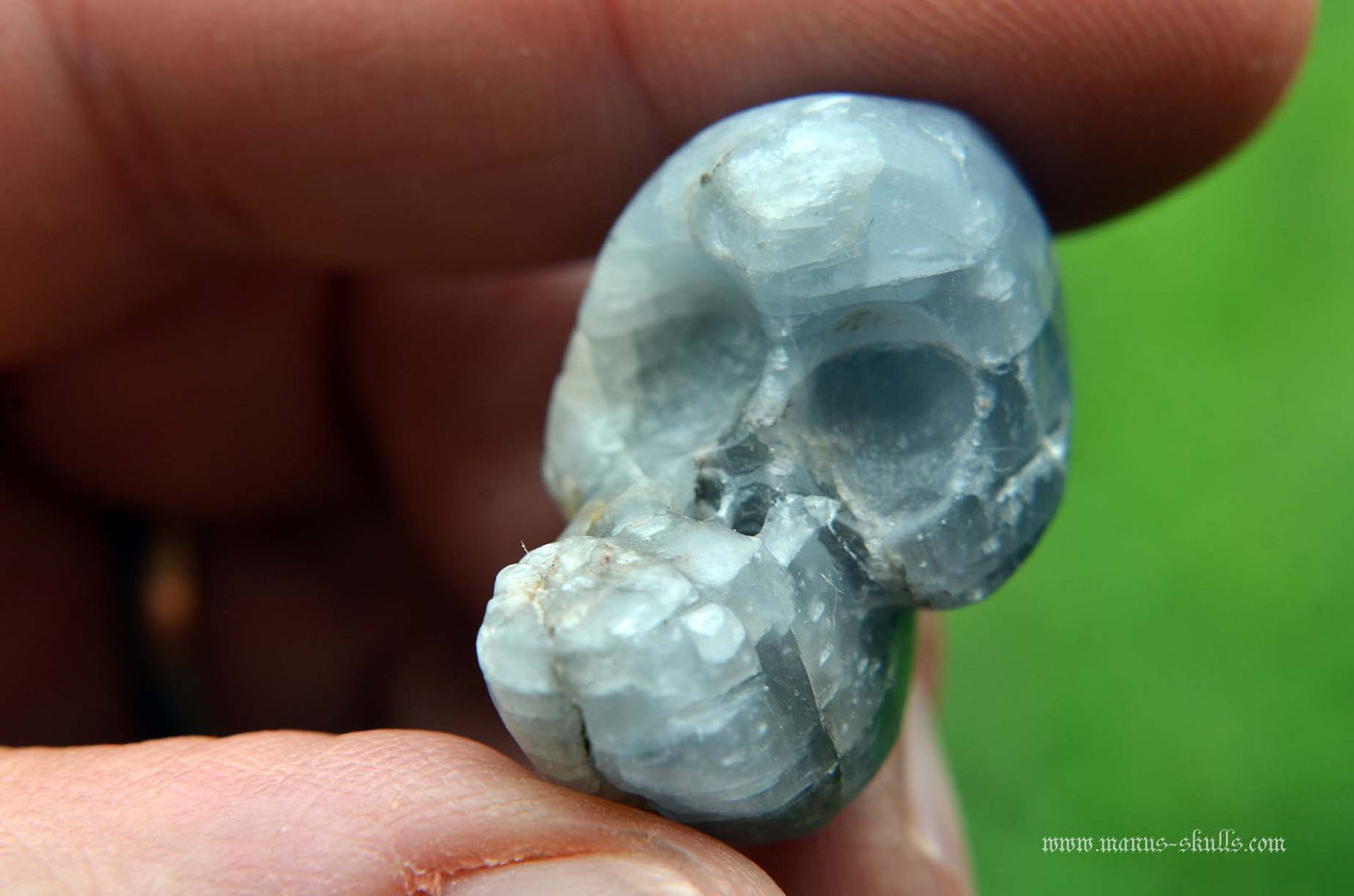 Blue Sapphire Evolian #07
