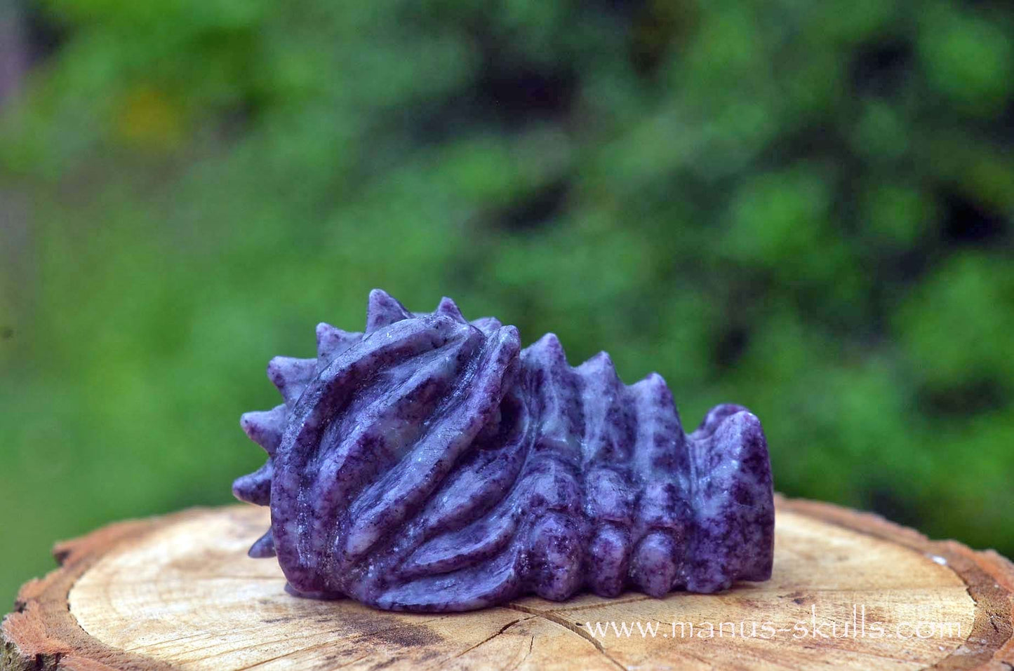 Kammererite baby Dragon