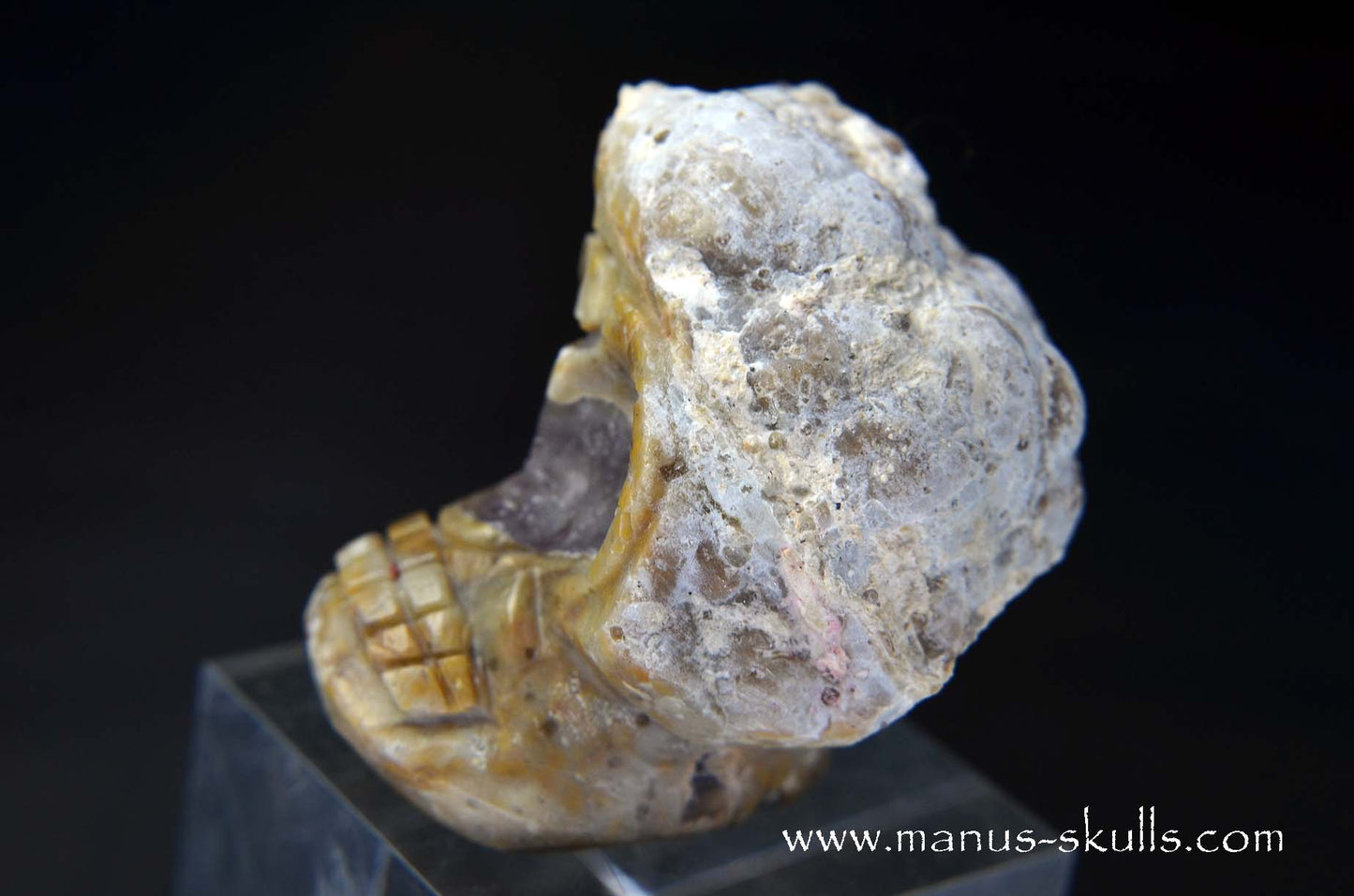 TNT-bed Thunderegg Evolian #11