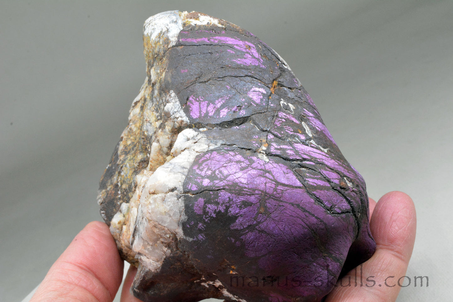 Large Purpurite Skull