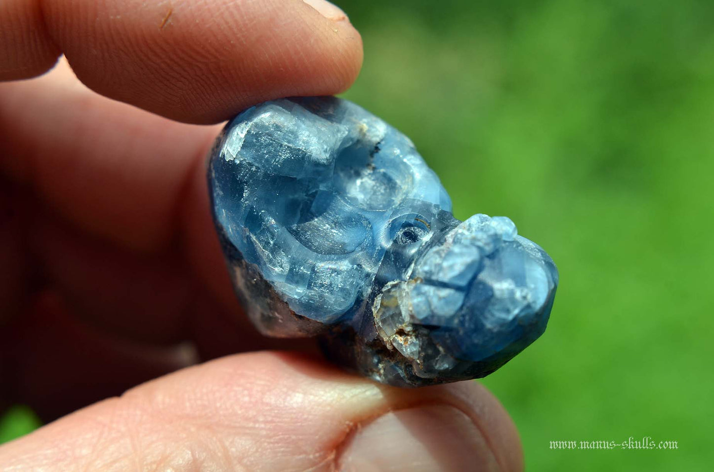 Blue Sapphire Evolian #05
