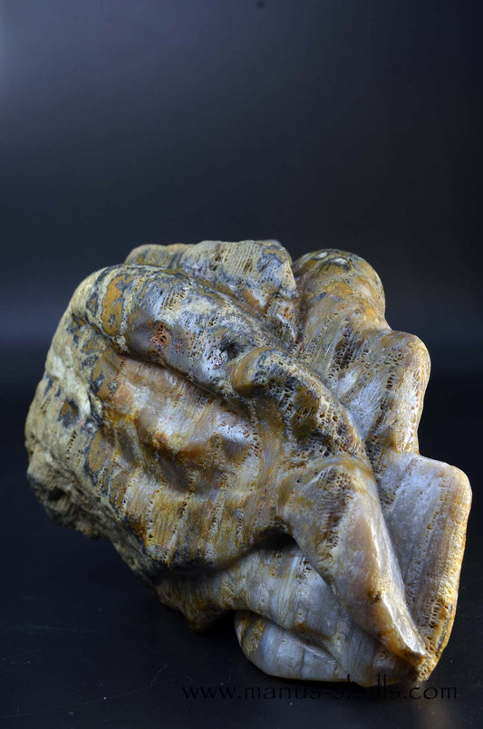 Manus skulls unique Crystal Carvings handmade skulls dragons pendants preseli bluestone tribals spiritual meaning wand Unicorn .. petrified fossil coral