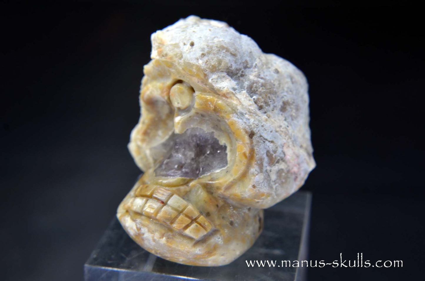 TNT-bed Thunderegg Evolian #11