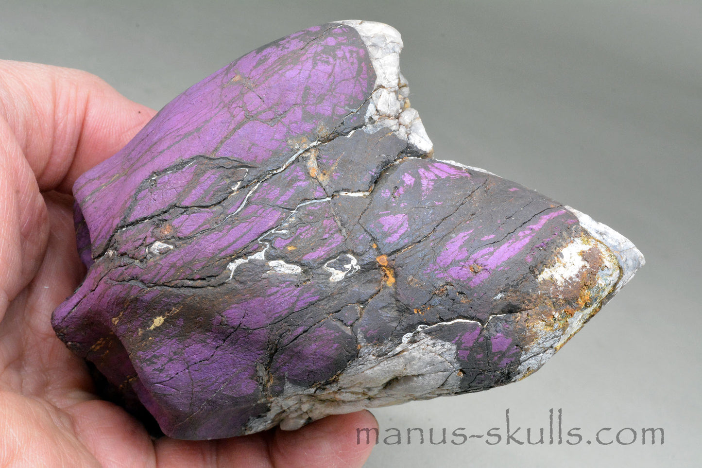 Large Purpurite Skull