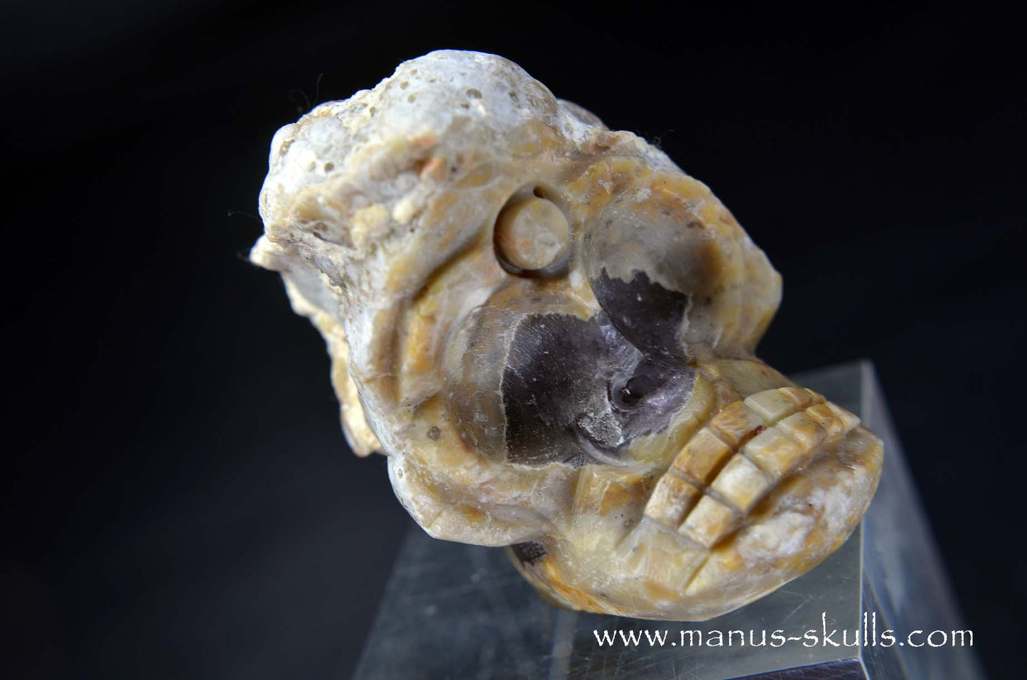 TNT-bed Thunderegg Evolian #11