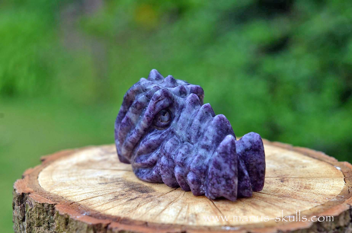 Kammererite baby Dragon