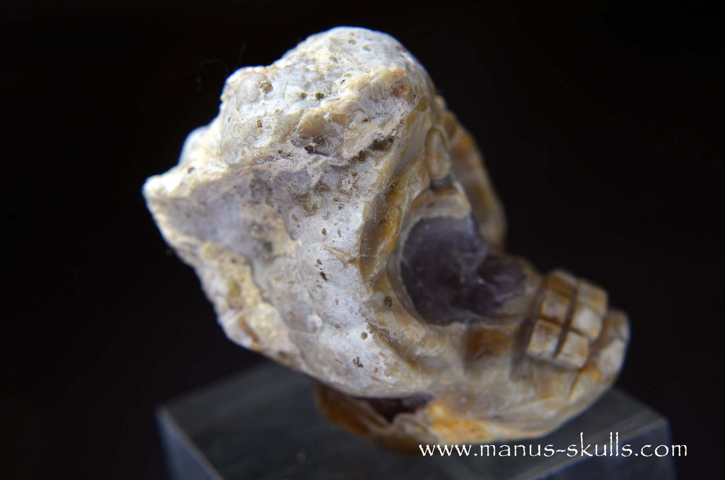 TNT-bed Thunderegg Evolian #11