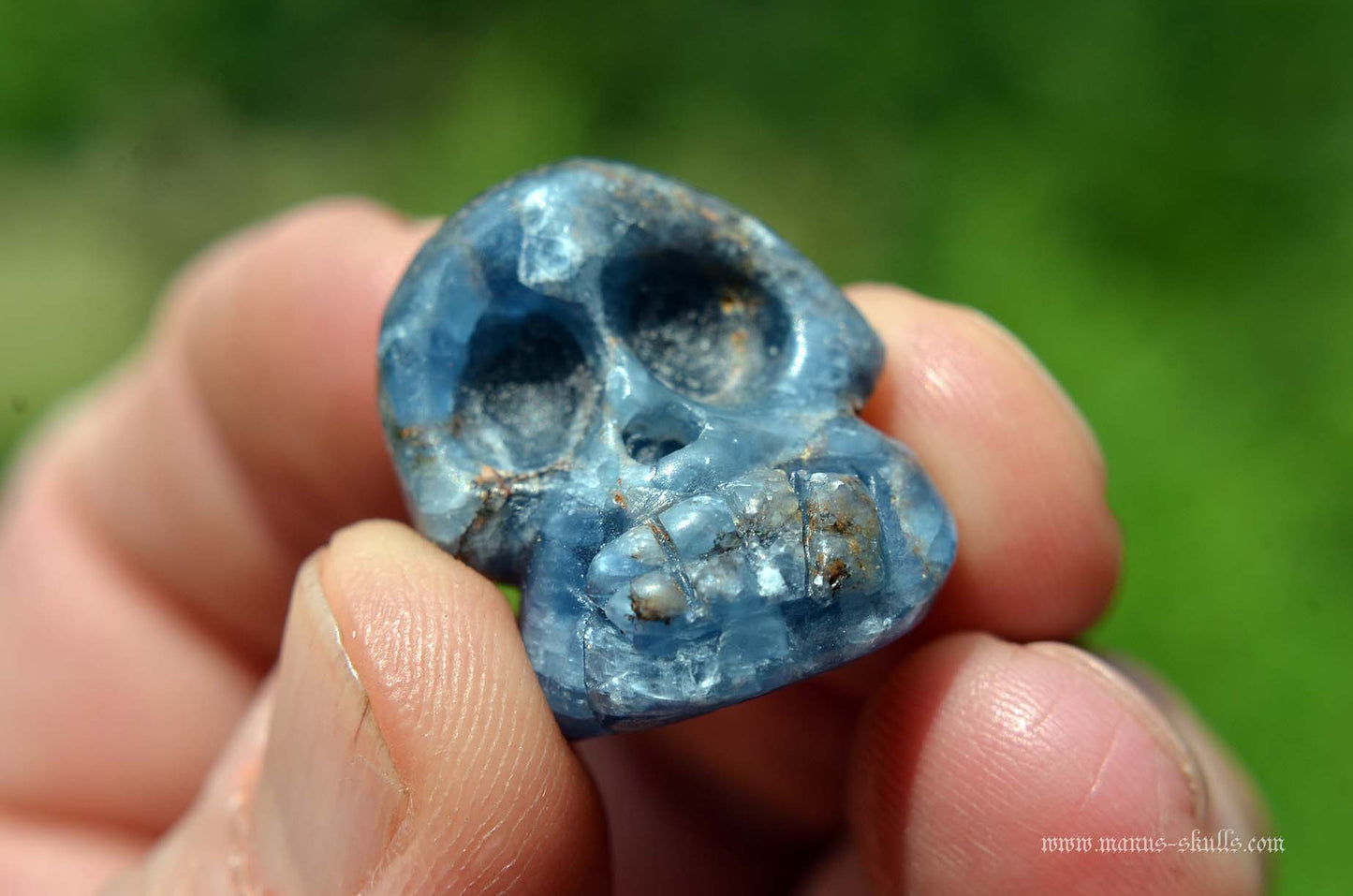 Blue Sapphire Evolian #03