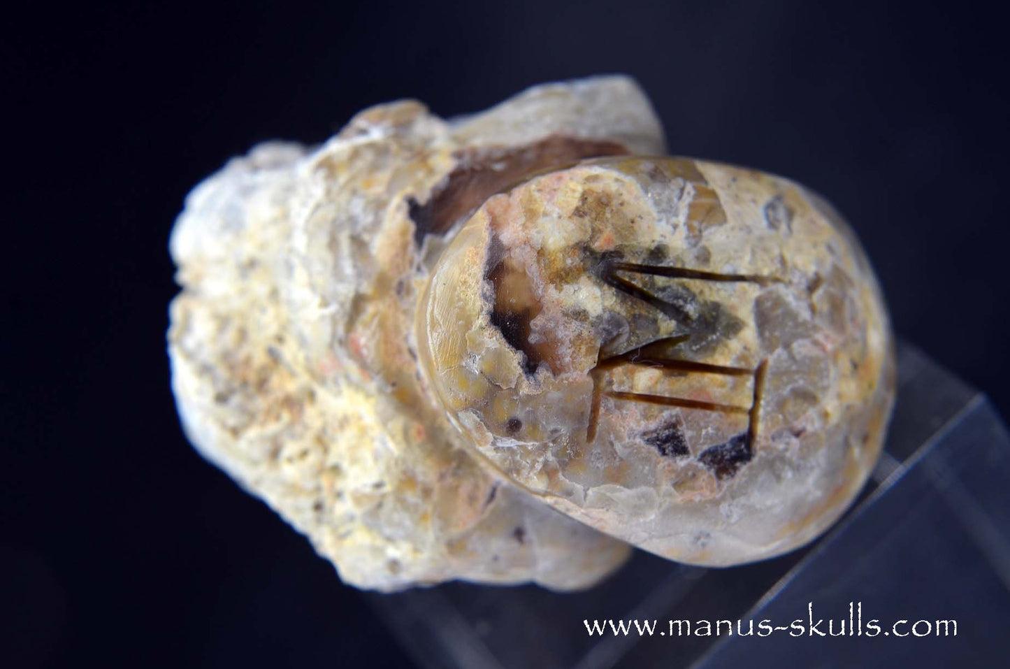 TNT-bed Thunderegg Evolian #11
